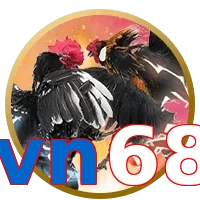 vn68